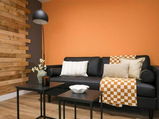 1 bedroom house to rent