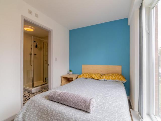 1 bedroom house to rent