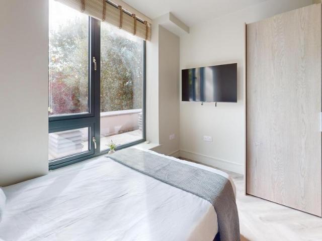 1 bedroom house to rent