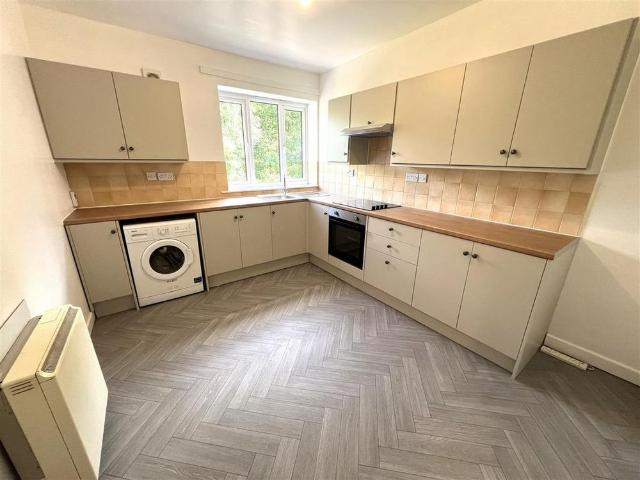 1 bedroom house to rent