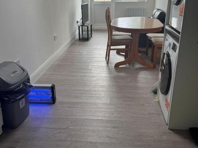 1 bedroom house to rent