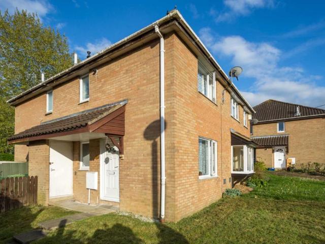1 bedroom house to rent