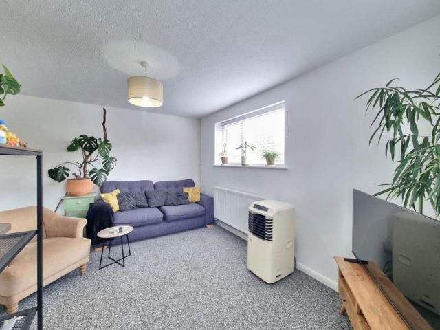 1 bedroom house to rent