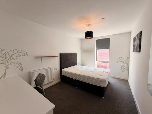 1 bedroom house to rent