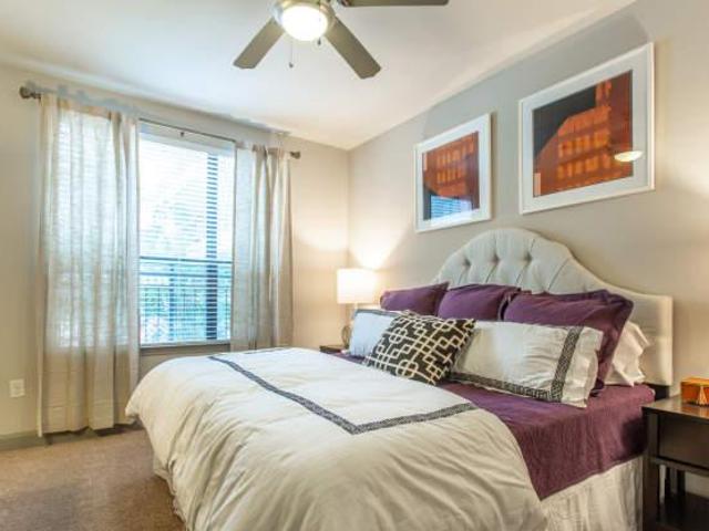 1 bedroom, Houston TX 77046 104859939