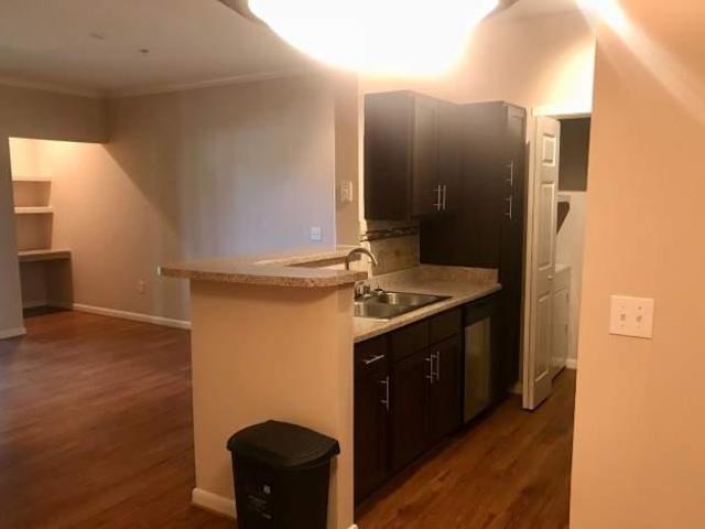 1 bedroom, Houston TX 77008 105854301