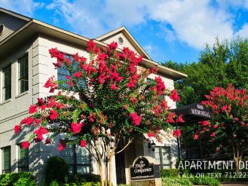 1 bedroom, Houston TX 77024 77323206