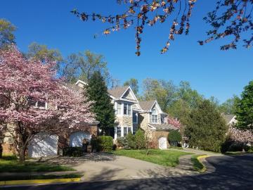 1 Bedroom Home for Rent at 1213 Woodbrook Ct, Reston, VA 20194 Reston