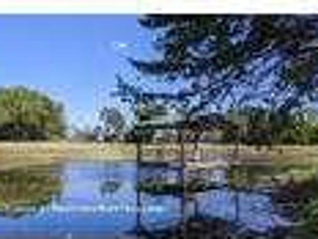 1 bedroom in Blue Ridge Texas 75424