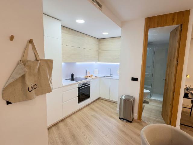 1 bedroom in Palacio, Madrid Amsterdam Apartments for Rent