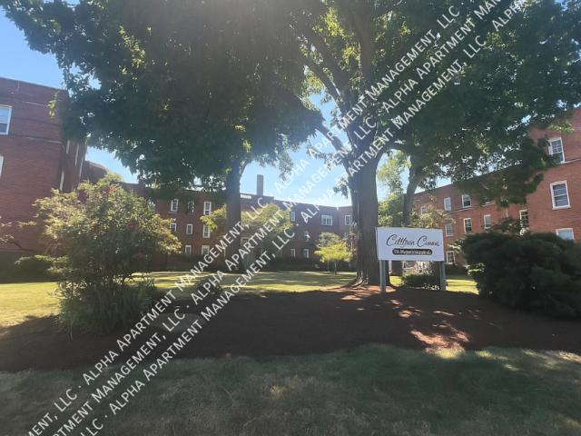 1 bedroom, Lakewood OH 44107 105673420