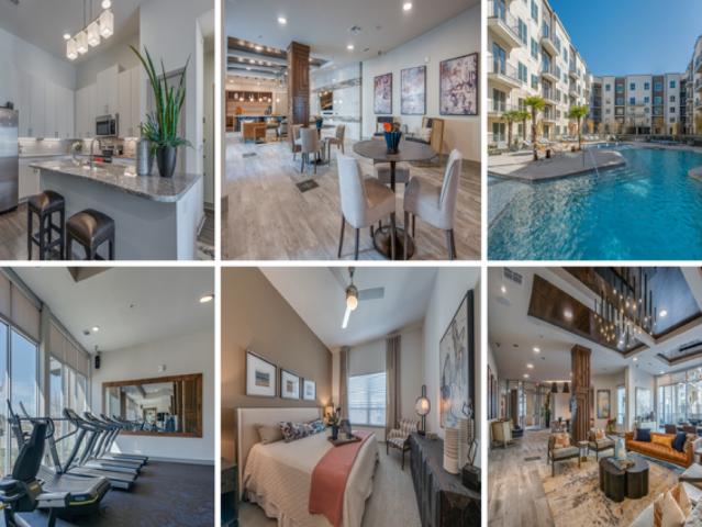 1 bedroom, Las Colinas TX 75039 77109151