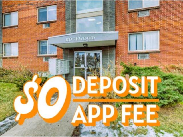 1 bedroom, Littleton CO 80120 103449504