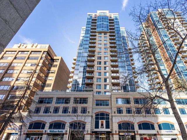 1 Bedroom Luxury Downtown Condo — 1 Bedroom Condo Unit