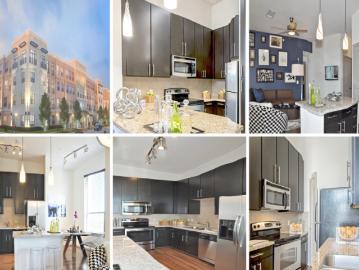 1 bedroom, Montrose & Museum District TX 77006 77109923