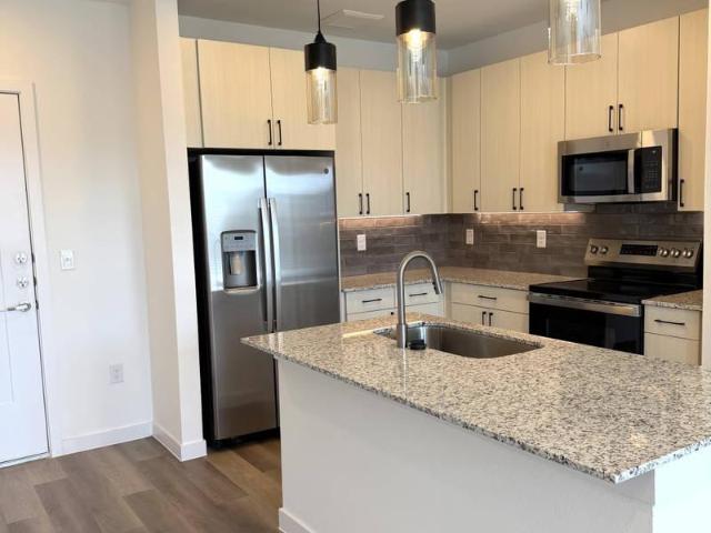 1 bedroom, Manor TX 78653 96238916
