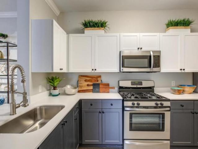 1 bedroom, Mansfield MA 02048 LS103347997
