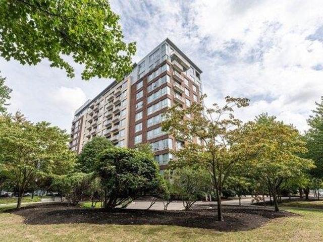 1 bedroom, Medford MA 02155 105428296