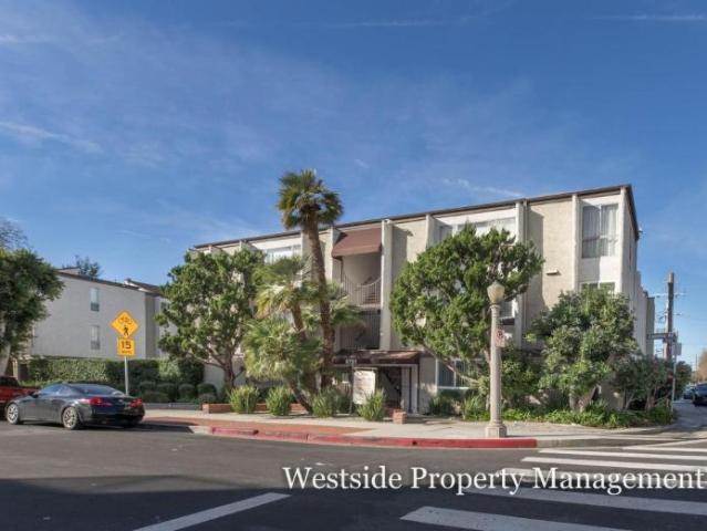 1 bedroom, North Hollywood CA 91601 99871002