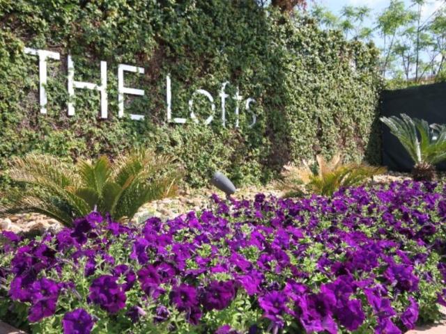 1 bedroom, San Antonio TX 78207 105195783