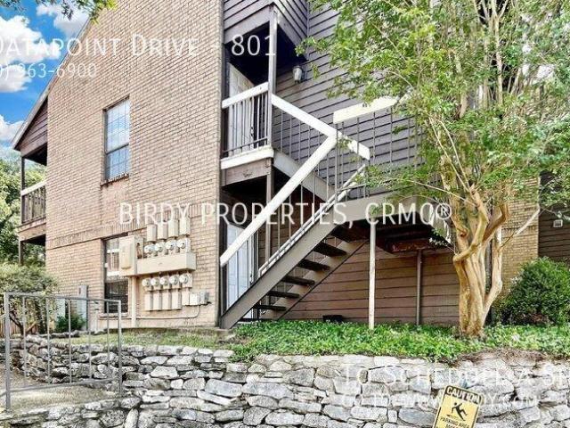 1 bedroom, San Antonio TX 78229 104609579