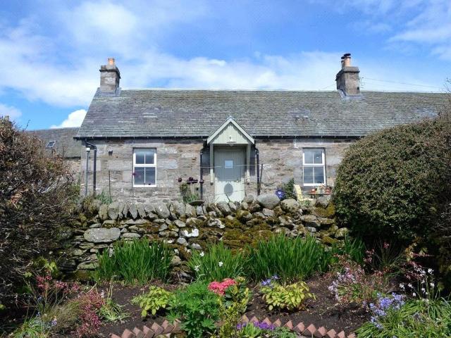 1 bedroom semi detached house to rent
