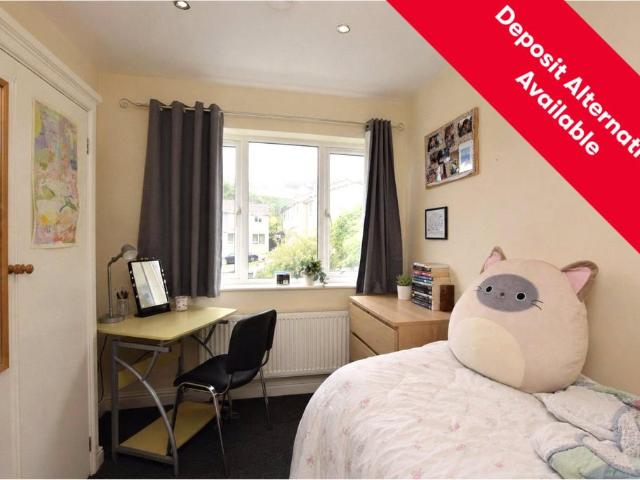 1 bedroom semi detached house to rent