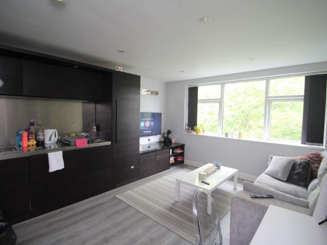 1 bedroom studio apartment to rent