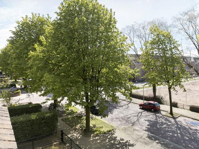 1 bedroom Surface Area: 15.65m2
