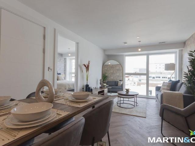 1 bedroom penthouse to rent