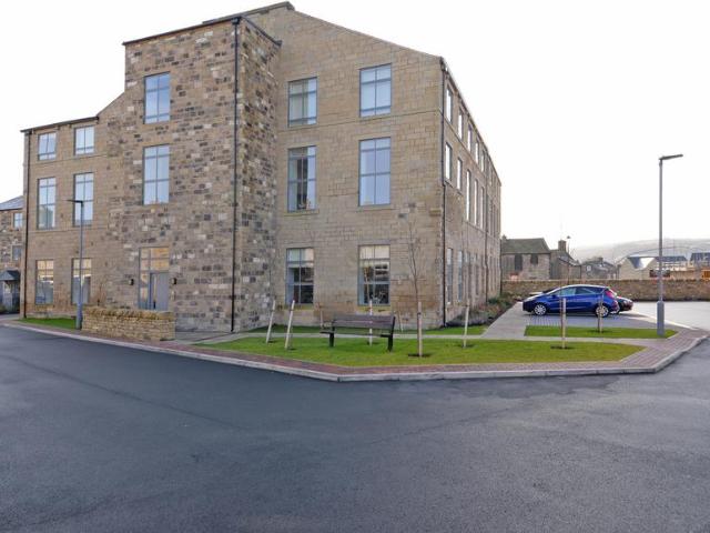 1 bedroom penthouse to rent