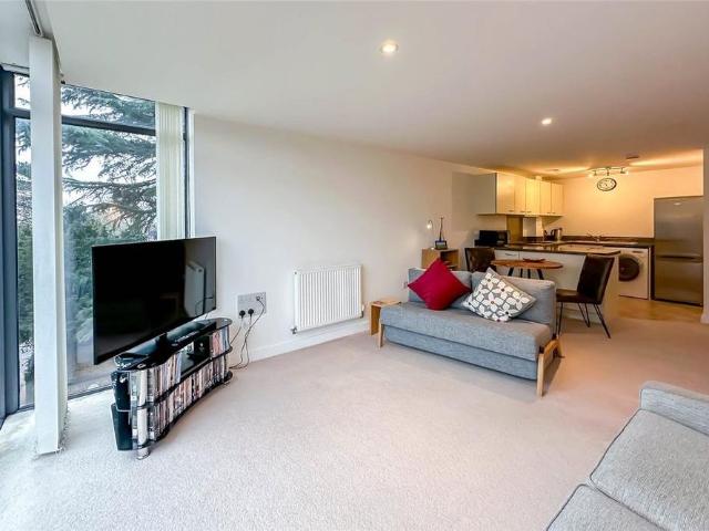 1 bedroom penthouse to rent