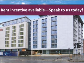 1 bedroom penthouse to rent