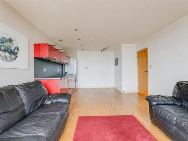 1 bedroom penthouse to rent
