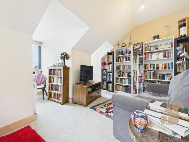 1 bedroom penthouse to rent