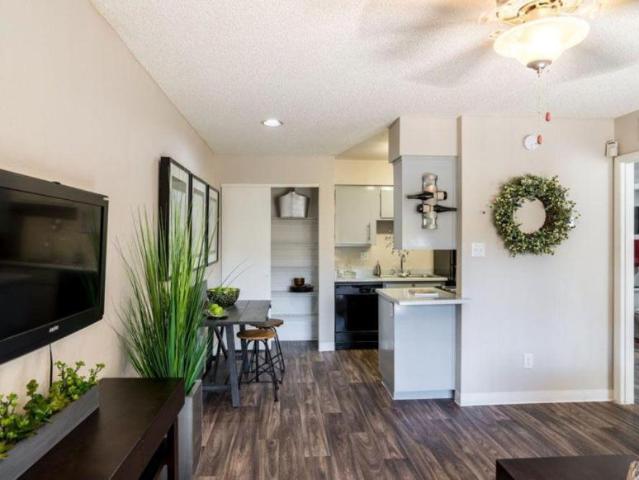 1 bedroom, Phoenix AZ 85029 104882874