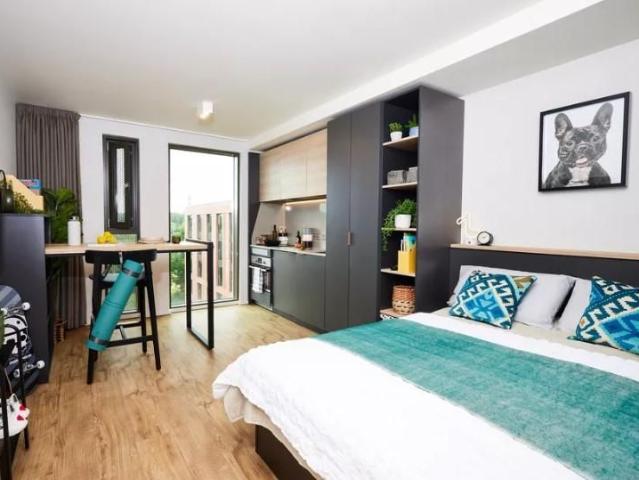 1 bedroom private hall to rent