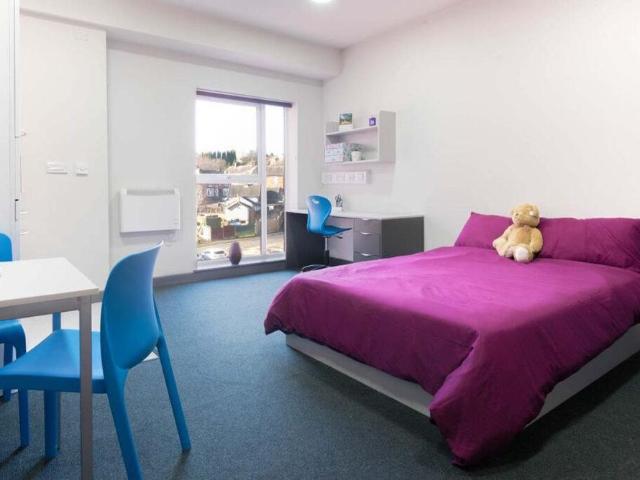 1 bedroom private hall to rent