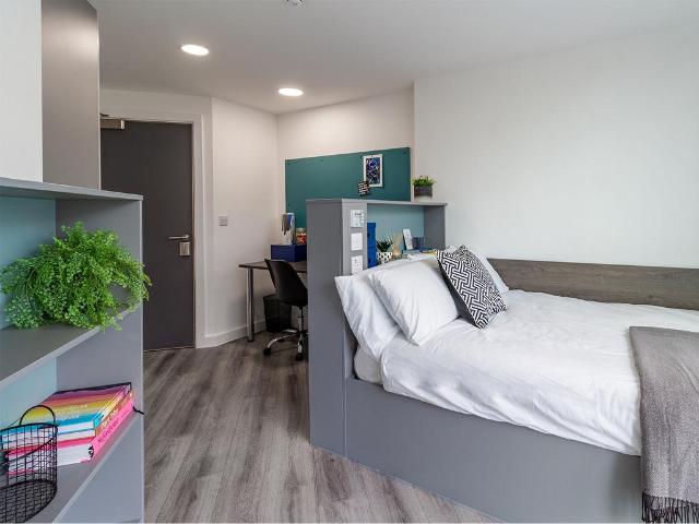 1 bedroom private halls to rent
