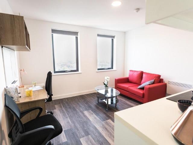 1 bedroom private halls to rent