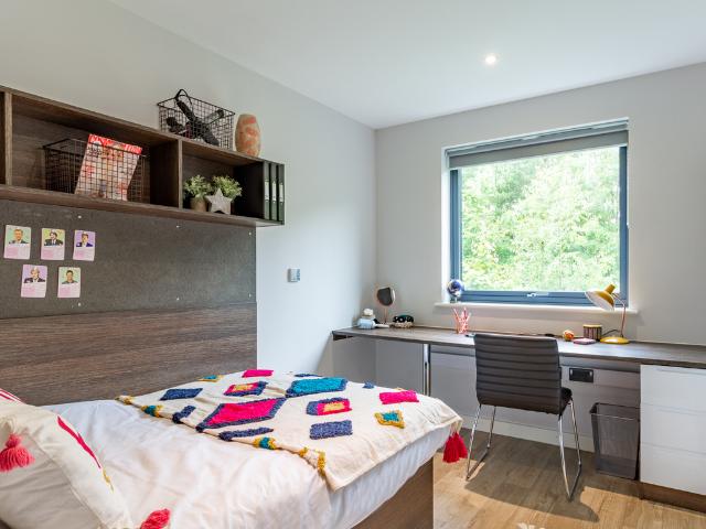1 bedroom private halls to rent