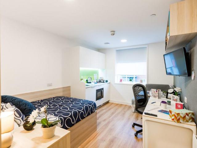 1 bedroom private halls to rent