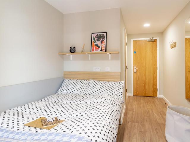 1 bedroom private halls to rent