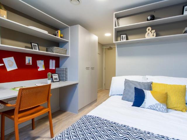 1 bedroom private halls to rent