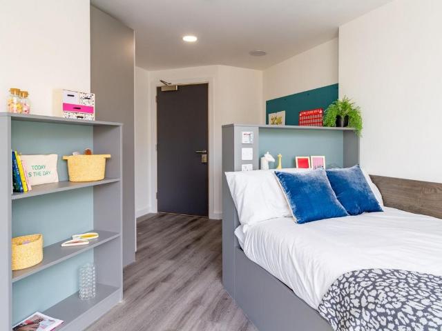 1 bedroom private halls to rent