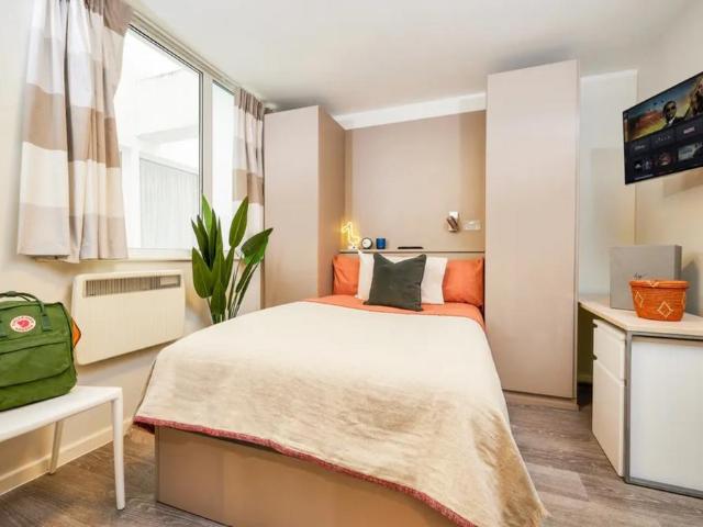 1 bedroom private halls to rent