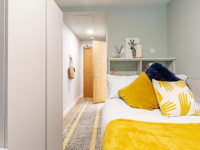1 bedroom private halls to rent