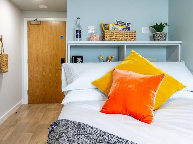 1 bedroom private halls to rent