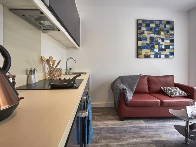 1 bedroom private halls to rent