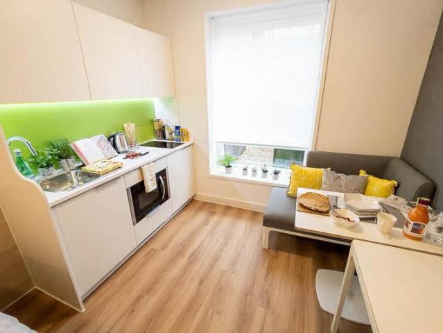 1 bedroom private halls to rent
